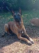 DVP Sicherheit e.K. - GALLERY