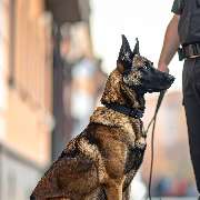 DVP Sicherheit e.K. - GALLERY