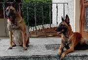 DVP Sicherheit e.K. - GALLERY