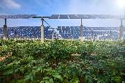 DVP Solar Germany GmbH - 3