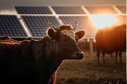 DVP Solar Germany GmbH - 5