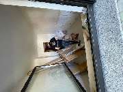 DZ Transporte - 2