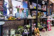E-Center Hartmann in Stemwede/Levern - Blumen
„Ich liebe dich.“ Oder „Danke schön“ – sagen Sie es durch die Blume.

Blumen sind eines der schönsten Komplimente, manchmal auch an uns selbst. Bringen Sie Farbe ins Leben: Ob als bunte Überraschung oder zum G