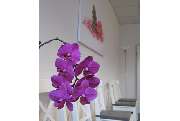 E. Lorscheidt Sprachtherapie - GALLERY