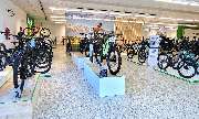 e-motion e-Bike Welt, Dreirad- & Lastenfahrrad-Zentrum Adelsdorf - GALLERY