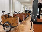 e-motion e-Bike Welt, Dreirad- & Lastenfahrrad-Zentrum Cloppenburg - GALLERY