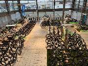 e-motion e-Bike Welt, Dreirad- & Lastenfahrrad-Zentrum Eberswalde - GALLERY