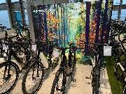 e-motion e-Bike Welt, Dreirad- & Lastenfahrrad-Zentrum Eberswalde - GALLERY