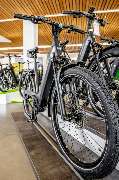e-motion e-Bike Welt, Dreirad- & Lastenfahrrad-Zentrum Schleswig - GALLERY