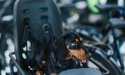 e-motion e-Bike Welt, Dreirad- & Lastenfahrrad-Zentrum Schwarzenfeld - GALLERY