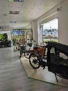 e-motion e-Bike Welt, Dreirad- & Lastenfahrrad-Zentrum Stade - Altes Land - GALLERY