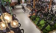 e-motion e-Bike Welt, Dreirad- & Lastenfahrrad-Zentrum Starnberger See - GALLERY