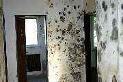 Ebs Inh. M. Raabe - GALLERY