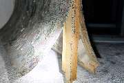 Ebs Inh. M. Raabe - GALLERY