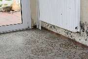 Ebs Inh. M. Raabe - GALLERY