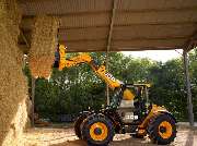 Eckardt Alexander - GALLERY