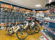 Eckardt Alexander - GALLERY