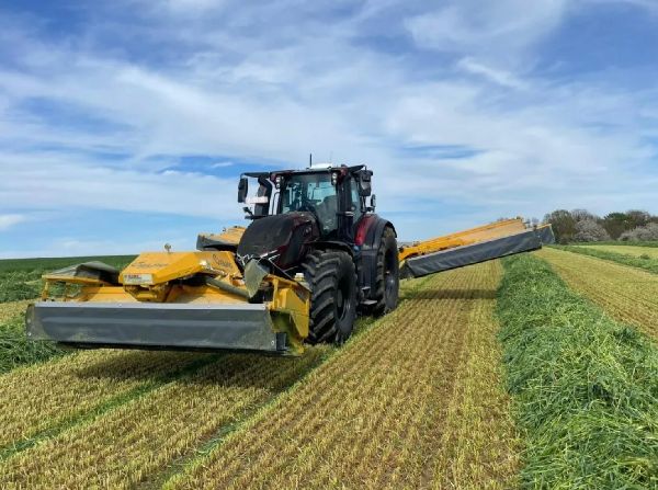 Eckardt Alexander - GALLERY