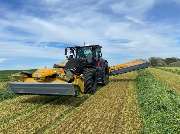 Eckardt Alexander - GALLERY