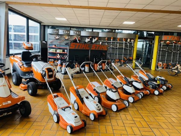 Eckardt Alexander - GALLERY