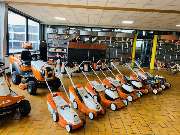 Eckardt Alexander - GALLERY