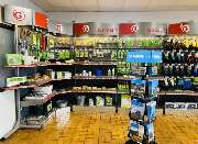 Eckardt Alexander - GALLERY