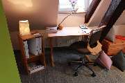 Eckhart Bald Naturmöbel - Team 7, Hüsler Nest und mehr - Büromöbel fürs Büro oder Homeoffice