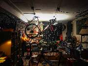 Eddy would attack! GbR - GALLERY