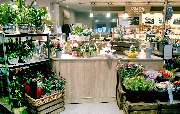 Edeka Burgdorf in Sittensen - Non-Food & Blumenabteilung/Floristik
Unser Markt besitzt auch eine eigene Tchibo Abteilung. Hier finden Sie eine große Auswahl an Kaffees und auch viele Non-Food Artikel aus der Produktvielfalt von Tchibo.

Unsere Floristik-A