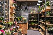 Edeka Heinzinger - Dekoration und Blumen
Um Ihr Haus oder Ihren Garten je nach Jahreszeit oder Anlass zu verschönern und somit für eine passende Atmosphäre zu sorgen, erhalten Sie bei uns saisonale Blumen sowie Dekoration.

Egal zu welchem Anlass – ob Hal