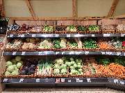 EDEKA Kaden/Seidel - GALLERY
