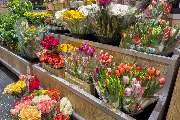 Edeka Sanft in Oldenburg - Blumen