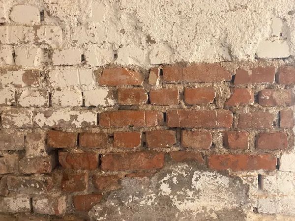 Edel-Eis, Christian Wedel - GALLERY