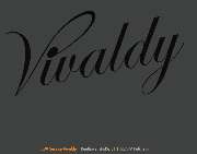 Logo - EDV Service Vivaldy