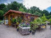 Eggert Pflanzenhof Inh. Rolf Tietjen - GALLERY