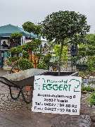 Eggert Pflanzenhof Inh. Rolf Tietjen - GALLERY