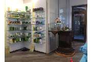 Eichen-Apotheke Stein - GALLERY