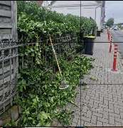 Eid Hausmeisterservice - GALLERY