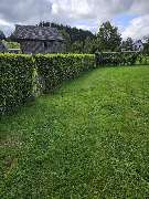 Eifel Cleaning Service - 1