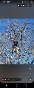 Eifel Cleaning Service - 10