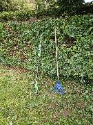 Eifel Cleaning Service - 3