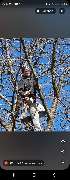 Eifel Cleaning Service - 8