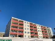 Einfeldt Baudekoration - GALLERY
