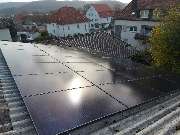 Elektrik Plus - Wulf2.jpeg