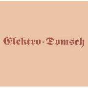 Elektro Domsch - Inh. Lutz Zimmermann - LOGO