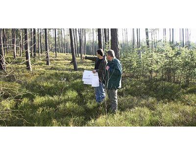 Elektro Weigl | Inh. Werner Weigl - GALLERY