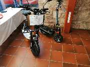 Elektromobile & Roller Vowega GbR - 2019 Ausstellung auf Modelbaumesse Philippsthal