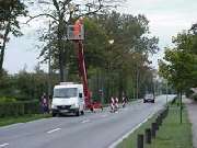 Elektrotechnik Haase GmbH - Referenz
Einsatzvarianten der Hubarbeitsbühnen - Baumbeschnitt