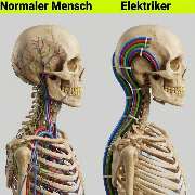 Elektrotechnik Peter - LOGO