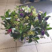 Elias Blumenwelt GmbH - GALLERY